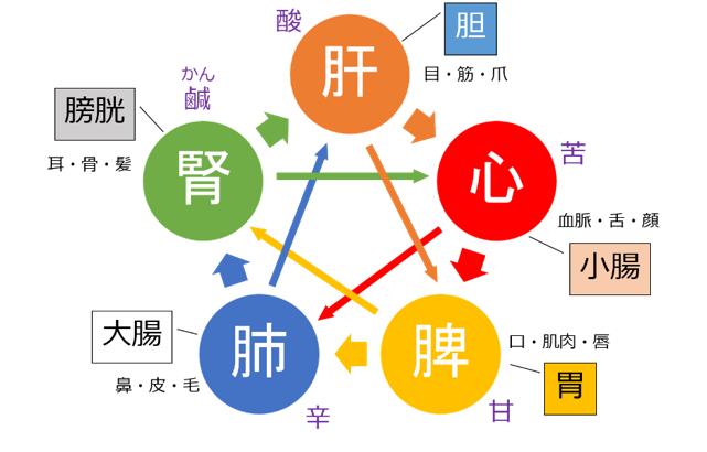 五臓(ごぞう)